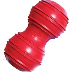 KONG Dental Dog Toy