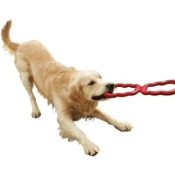 KONG Tug Dog Toy -PetSafe Kong Shop 59156 PT3. AC SS1800 V1603163197