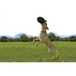 KONG Extreme Flyer Dog Toy -PetSafe Kong Shop 59199 PT3. AC SS1800 V1531423971