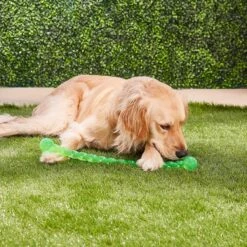 KONG Safestix Dog Toy, Color Varies -PetSafe Kong Shop 59304 PT1. AC SS1800 V1534451979