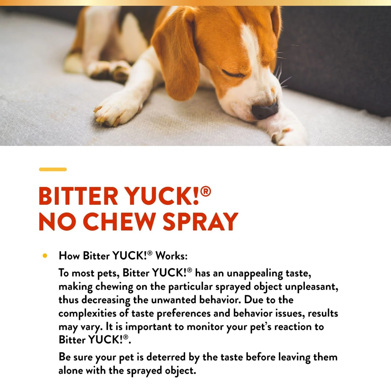 NaturVet Bitter YUCK! No Chew Dog, Cat & Horse Spray 5 NaturVet Bitter YUCK! No Chew Dog, Cat & Horse Spray - Image 5