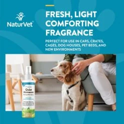 NaturVet Quiet Moments Simulated Canine Pheromones Calming Spray For Dogs 10 NaturVet Quiet Moments Simulated Canine Pheromones Calming Spray For Dogs -PetSafe Kong Shop 60350 PT3. AC SS1800 V1698694290