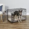 MidWest ICrate Fold & Carry Double Door Collapsible Wire Dog Crate