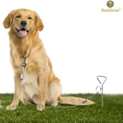 SunGrow Dog Tie Out Cable Stake, Escape Proof For Outside Training & Camping Gear 8 SunGrow Dog Tie Out Cable Stake, Escape Proof For Outside Training & Camping Gear -PetSafe Kong Shop 604502 PT1. AC SS1800 V1675089257