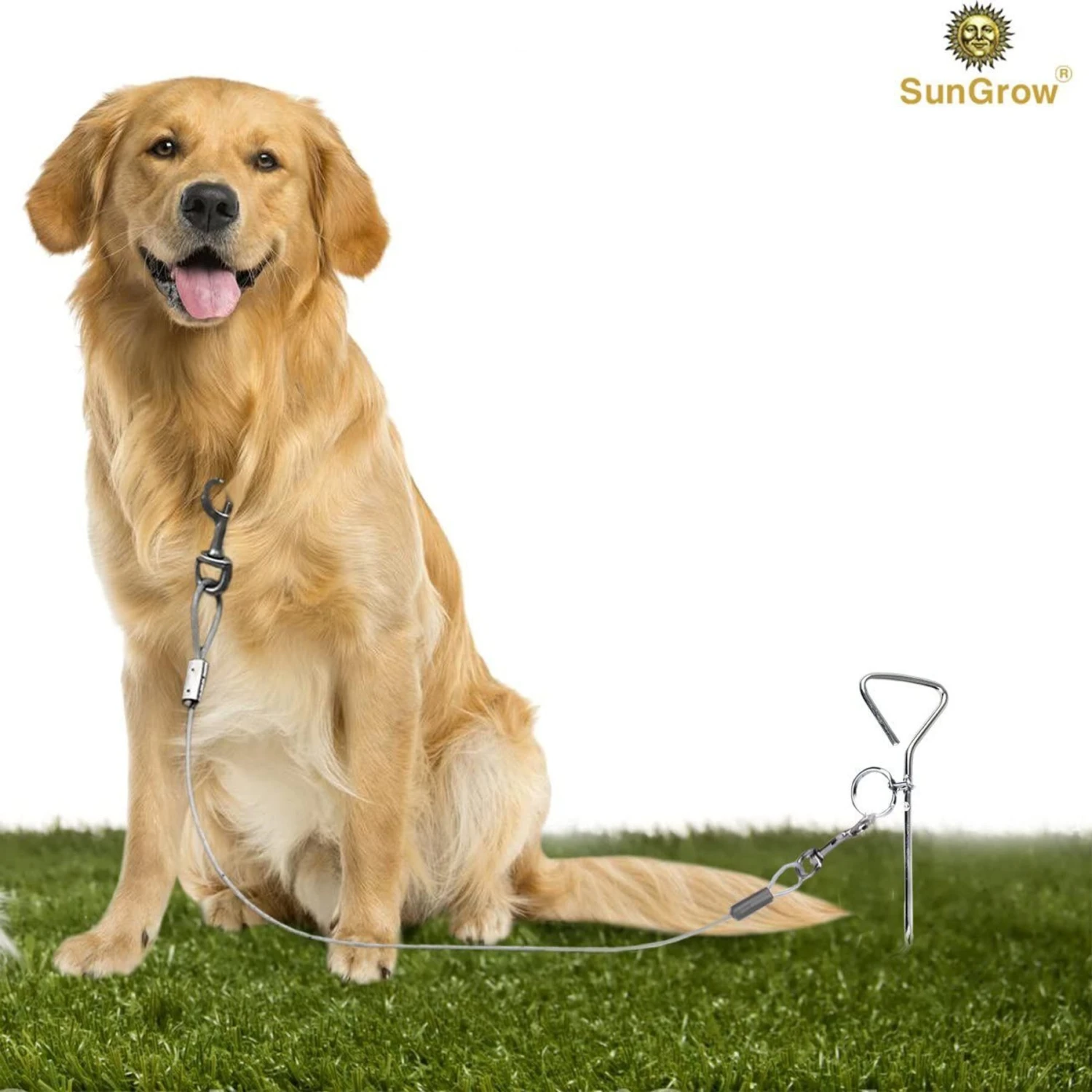 SunGrow Dog Tie Out Cable Stake, Escape Proof For Outside Training & Camping Gear 2 SunGrow Dog Tie Out Cable Stake, Escape Proof For Outside Training & Camping Gear - Image 2