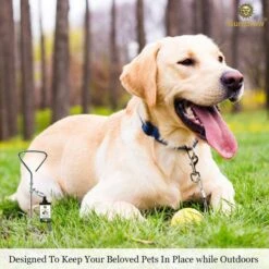 SunGrow Dog Tie Out Cable Stake, Escape Proof For Outside Training & Camping Gear 11 SunGrow Dog Tie Out Cable Stake, Escape Proof For Outside Training & Camping Gear -PetSafe Kong Shop 604502 PT4. AC SS1800 V1675967322