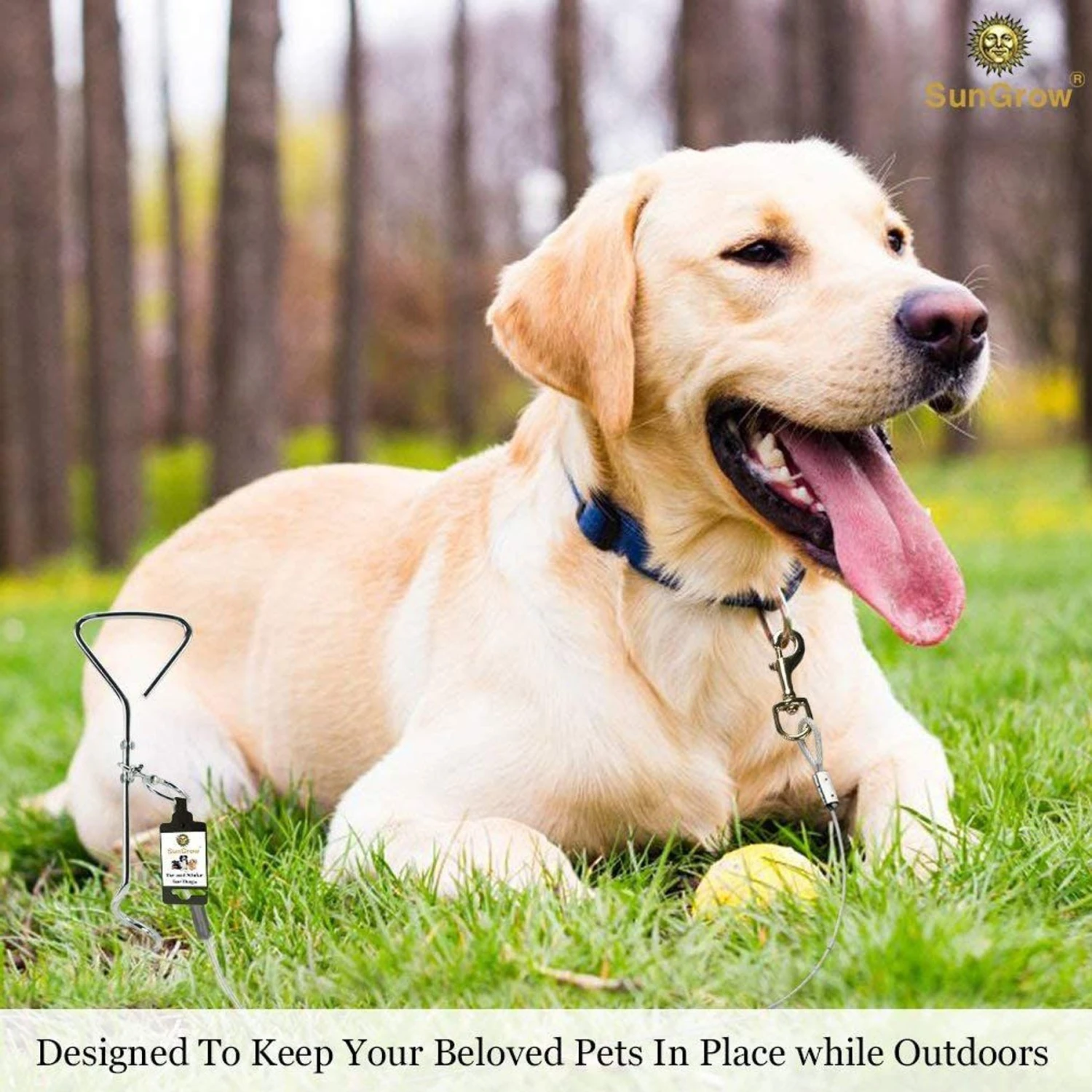 SunGrow Dog Tie Out Cable Stake, Escape Proof For Outside Training & Camping Gear 5 SunGrow Dog Tie Out Cable Stake, Escape Proof For Outside Training & Camping Gear - Image 5