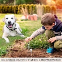 SunGrow Dog Tie Out Cable Stake, Escape Proof For Outside Training & Camping Gear 12 SunGrow Dog Tie Out Cable Stake, Escape Proof For Outside Training & Camping Gear -PetSafe Kong Shop 604502 PT5. AC SS1800 V1676384453