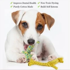 SunGrow Aggressive Chewers Small Dog & Cat Tug Of War Rope & Chase Teething Toys, 2 Count 10 SunGrow Aggressive Chewers Small Dog & Cat Tug Of War Rope & Chase Teething Toys, 2 Count -PetSafe Kong Shop 604518 PT4. AC SS1800 V1697054916