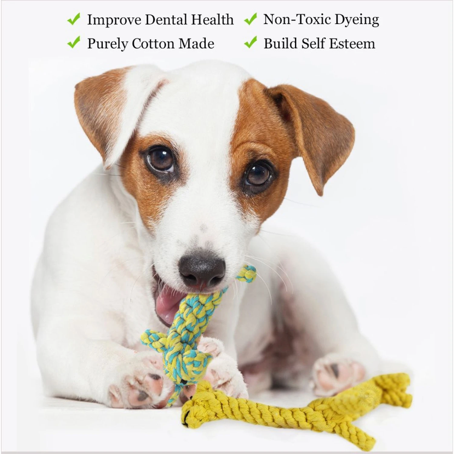 SunGrow Aggressive Chewers Small Dog & Cat Tug Of War Rope & Chase Teething Toys, 2 Count 5 SunGrow Aggressive Chewers Small Dog & Cat Tug Of War Rope & Chase Teething Toys, 2 Count - Image 5