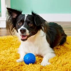 Starmark Fantastic DuraFoam Ball Tough Dog Toy, Color Varies 6 Starmark Fantastic DuraFoam Ball Tough Dog Toy, Color Varies -PetSafe Kong Shop 60486 PT2. AC SS1800 V1589319366