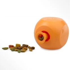 OurPets Buster Food Cube Dog Toy, Color Varies -PetSafe Kong Shop 60943 PT3. AC SS1800 V1462306636