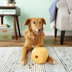 OurPets Buster Food Cube Dog Toy, Color Varies -PetSafe Kong Shop 60943 PT4. AC SS1800 V1530910368