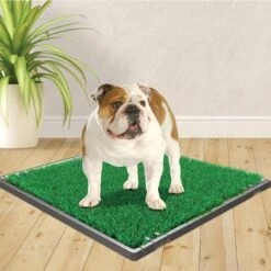 Four Paws Wee-Wee Dog Grass Patch Tray & Wee-Wee Patch Replacement Grass Mat -PetSafe Kong Shop 609526 PT8. AC SS1800 V1660403162