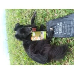 BioBag Standard Pet Waste Bags, 50 Count -PetSafe Kong Shop 61624 PT3. AC SS1800 V1596031256