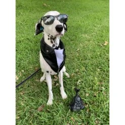 BioBag Standard Pet Waste Bags, 50 Count -PetSafe Kong Shop 61624 PT5. AC SS1800 V1596031858