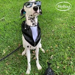 BioBag Large Pet Waste Bags -PetSafe Kong Shop 61625 PT4. AC SS1800 V1628863632