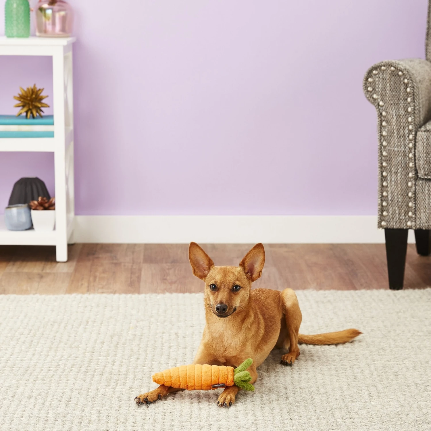 P.L.A.Y. Pet Lifestyle And You Garden Fresh Carrot Squeaky Plush Dog Toy 2 P.L.A.Y. Pet Lifestyle And You Garden Fresh Carrot Squeaky Plush Dog Toy - Image 2