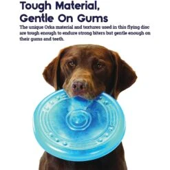 Petstages Orka Flyer Tough Dog Toy -PetSafe Kong Shop 61957 PT2. AC SS1800 V1636504087