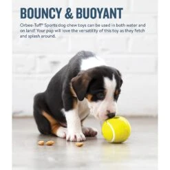 Planet Dog Orbee-Tuff Sport Tennis Ball Tough Dog Chew Toy -PetSafe Kong Shop 62264 PT3. AC SS1800 V1646781690