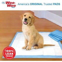 Wee-Wee Little Dog Pee Pads 16.5 X 23.5-in -PetSafe Kong Shop 62531 PT3. AC SS1800 V1621373899