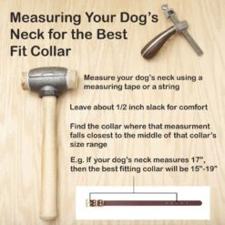 Mimi Green Leather With Personalized Name Plate Dog Collar -PetSafe Kong Shop 627926 PT3. AC SS1800 V1668919703