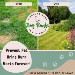 Dog Rocks Grass & Lawn Saver Dog Urine Burn Patch Protection -PetSafe Kong Shop 63233 PT2. AC SS1800 V1679931912