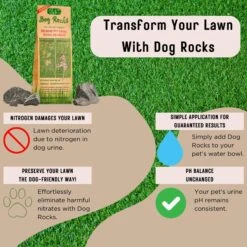 Dog Rocks Grass & Lawn Saver Dog Urine Burn Patch Protection -PetSafe Kong Shop 63233 PT4. AC SS1800 V1679931129