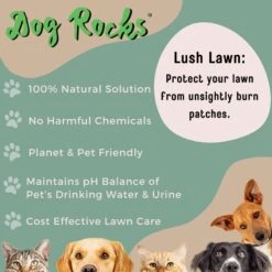 Dog Rocks Grass & Lawn Saver Dog Urine Burn Patch Protection -PetSafe Kong Shop 63233 PT5. AC SS1800 V1679931072