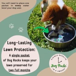 Dog Rocks Grass & Lawn Saver Dog Urine Burn Patch Protection -PetSafe Kong Shop 63233 PT6. AC SS1800 V1679931130