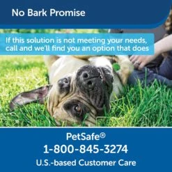PetSafe Outdoor Ultrasonic Bark Control Deterrent -PetSafe Kong Shop 63576 PT6. AC SS1800 V1616682414