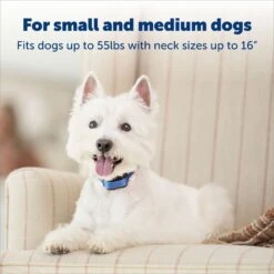 PetSafe Elite Little Dog Waterproof Spray Dog Bark Collar -PetSafe Kong Shop 63579 PT3. AC SS1800 V1690917853