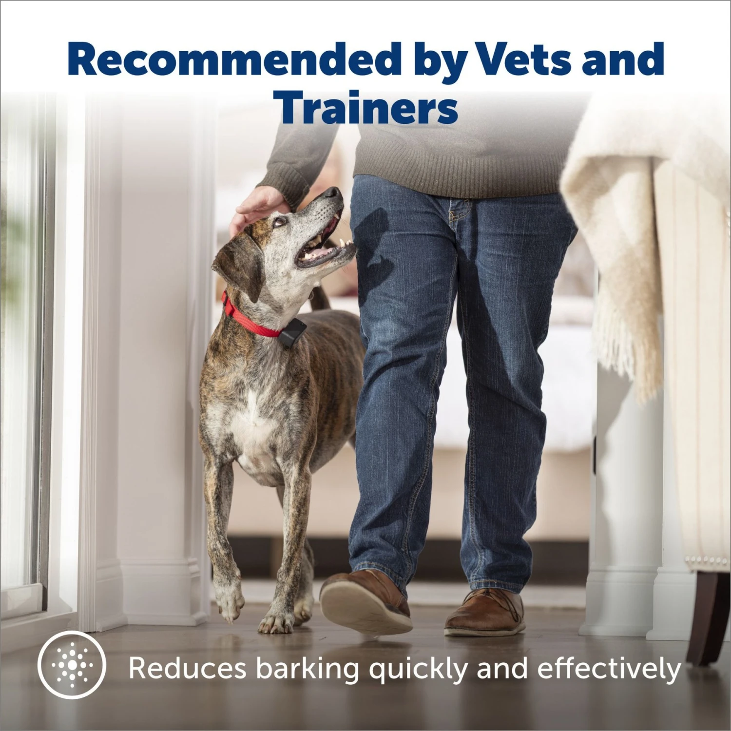 PetSafe Static Basic Waterproof Dog Bark Collar 2 PetSafe Static Basic Waterproof Dog Bark Collar - Image 2