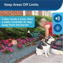 PetSafe Pawz Away Outdoor Pet Barrier -PetSafe Kong Shop 63615 PT4. AC SS1800 V1605053809