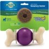 PetSafe Busy Buddy Bouncy Bone Treat Dispenser Tough Dog Chew Toy