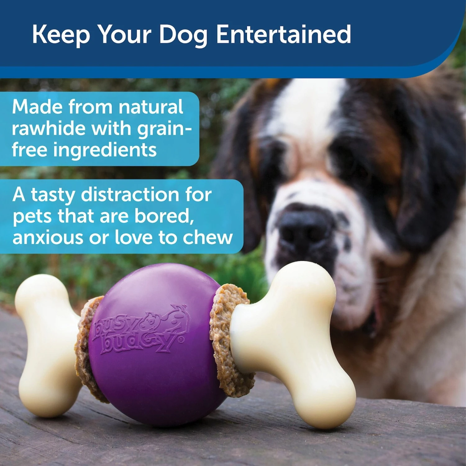 PetSafe Busy Buddy Bouncy Bone Treat Dispenser Tough Dog Chew Toy 2 PetSafe Busy Buddy Bouncy Bone Treat Dispenser Tough Dog Chew Toy - Image 2