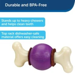 PetSafe Busy Buddy Bouncy Bone Treat Dispenser Tough Dog Chew Toy 8 PetSafe Busy Buddy Bouncy Bone Treat Dispenser Tough Dog Chew Toy -PetSafe Kong Shop 63845 PT2. AC SS1800 V1619990239