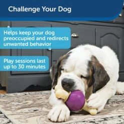 PetSafe Busy Buddy Bouncy Bone Treat Dispenser Tough Dog Chew Toy 9 PetSafe Busy Buddy Bouncy Bone Treat Dispenser Tough Dog Chew Toy -PetSafe Kong Shop 63845 PT3. AC SS1800 V1619891861