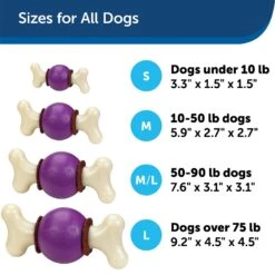 PetSafe Busy Buddy Bouncy Bone Treat Dispenser Tough Dog Chew Toy 10 PetSafe Busy Buddy Bouncy Bone Treat Dispenser Tough Dog Chew Toy -PetSafe Kong Shop 63845 PT4. AC SS1800 V1619991426