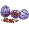 PetSafe Busy Buddy Kibble Nibble Treat Dispenser Dog Toy