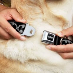 Buckle-Down Batman Shield Dog Leash & Buckle-Down Batman Shield Polyester Dog Collar -PetSafe Kong Shop 638574 PT6. AC SS1800 V1663254112