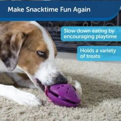 PetSafe Busy Buddy Twist 'n Treat Treat Dispenser Dog Toy -PetSafe Kong Shop 63858 PT7. AC SS1800 V1602324061