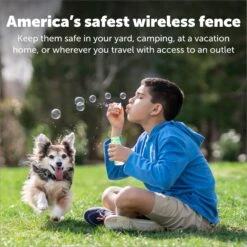 PetSafe Wireless Containment System -PetSafe Kong Shop 63890 PT4. AC SS1800 V1685727311