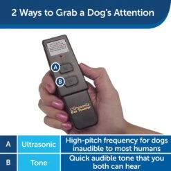PetSafe Collarless Ultrasonic Remote Trainer System -PetSafe Kong Shop 63916 PT2. AC SS1800 V1619794339