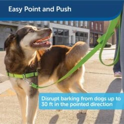 PetSafe Collarless Ultrasonic Remote Trainer System -PetSafe Kong Shop 63916 PT4. AC SS1800 V1619795563