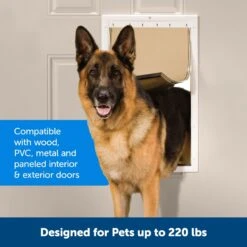 PetSafe Pet Door For Dogs & Cats -PetSafe Kong Shop 64009 PT2. AC SS1800 V1661972983