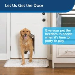 PetSafe Freedom Aluminum Pet Door -PetSafe Kong Shop 64014 PT1. AC SS1800 V1617330160