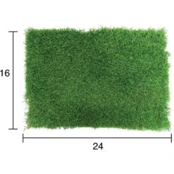 Gotta Go Grass The Natural Relief Dog Potty Pads, 16-in X 24-in, 2 Count -PetSafe Kong Shop 640254 PT2. AC SS1800 V1663019721