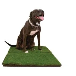 Gotta Go Grass The Natural Relief Dog Potty Pads, 16-in X 24-in, 2 Count -PetSafe Kong Shop 640254 PT4. AC SS1800 V1663018557