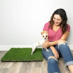 Gotta Go Grass The Natural Relief With Interlocking Tray Dog Potty Pads, 16-in X 24-in -PetSafe Kong Shop 640270 PT3. AC SS1800 V1663018439